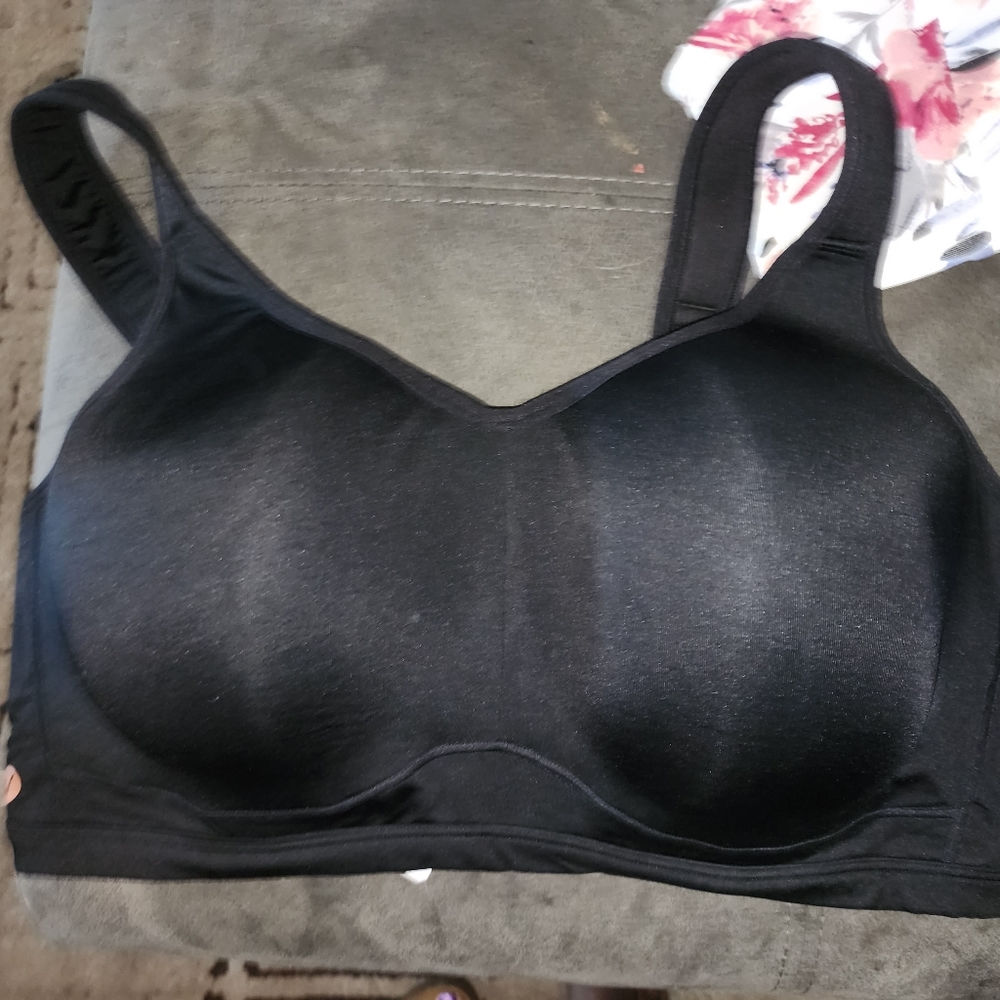 Lane Bryant sports bra